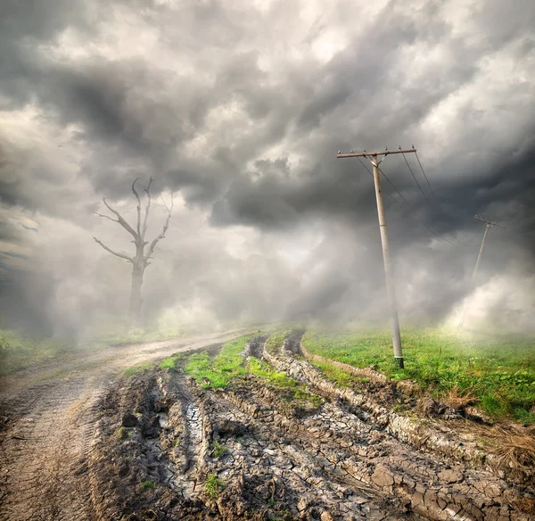 Camino del campo en la niebla — Foto de Stock