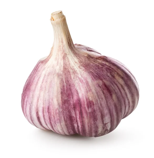 Aglio viola — Foto Stock