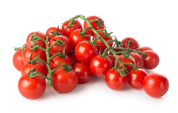 Branches of cherry tomatoes — Stock Photo, Image