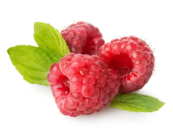 Berries — Stock Photo, Image