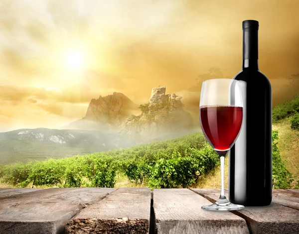 Weinberg und Wein — Stockfoto