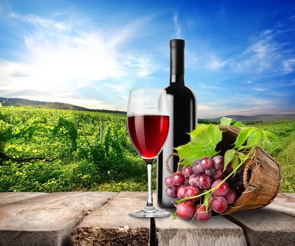 红酒和葡萄园 — 图库照片