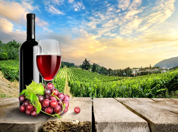 Wine with grape and vineyard — Stock Photo, Image