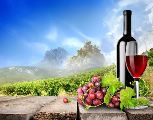 Bottle wine and vineyard — Stock Photo, Image