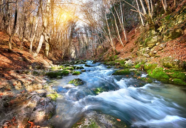 Гірська річка — стокове фото