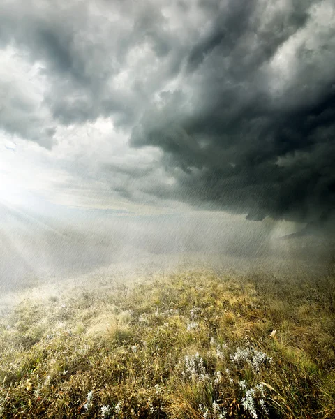 Chuva no campo — Fotografia de Stock