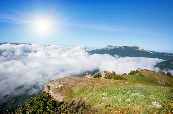 Prado en las montañas — Foto de Stock