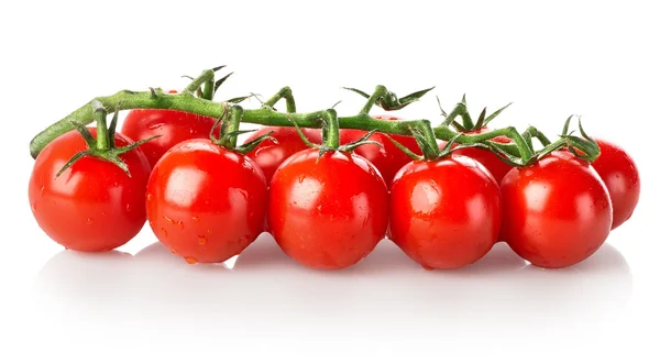 Branch of tomatoes — Stock Photo, Image