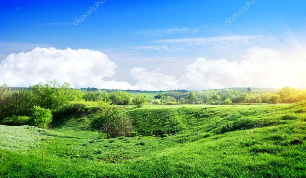 Spring landscape