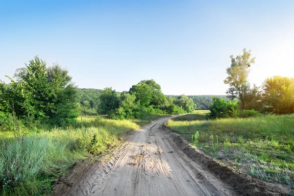 Väg och träd — Stockfoto