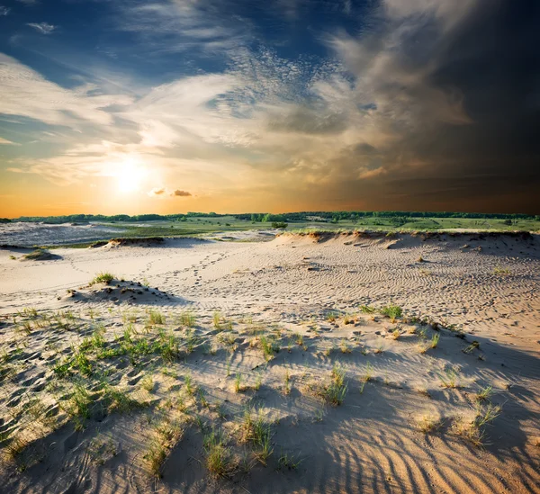 Pochmurnego nieba na pustyni — 스톡 사진