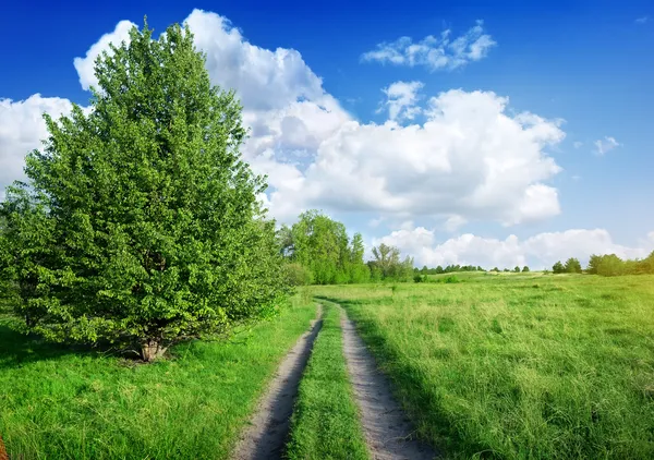 Estrada para o campo de primavera — Fotografia de Stock