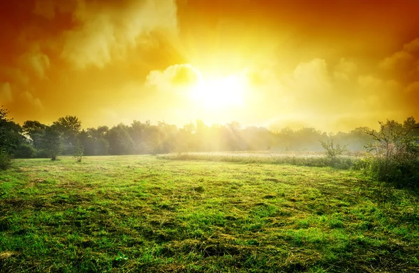 Prado ao pôr do sol — Fotografia de Stock