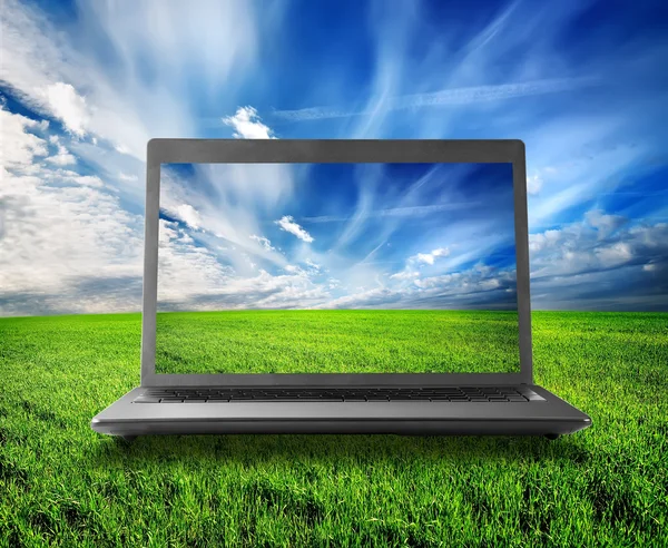 Green field and laptop — Stock Photo, Image