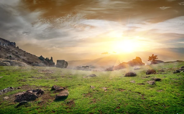 Rocas en un prado — Foto de Stock