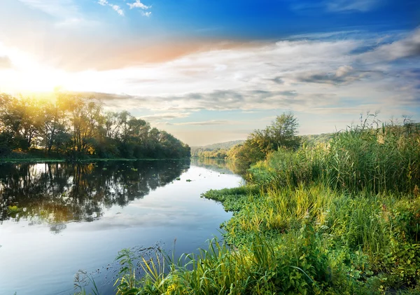 Rákosí na řece — Stock fotografie