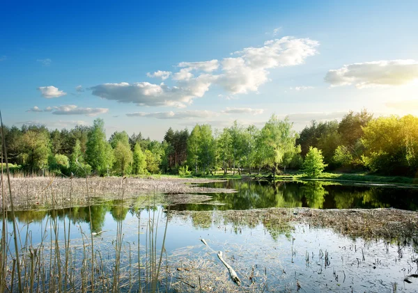 Широка річка на сході сонця — стокове фото