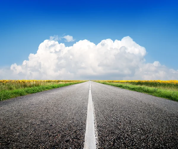 Highway and sunflowers — Stock Photo, Image