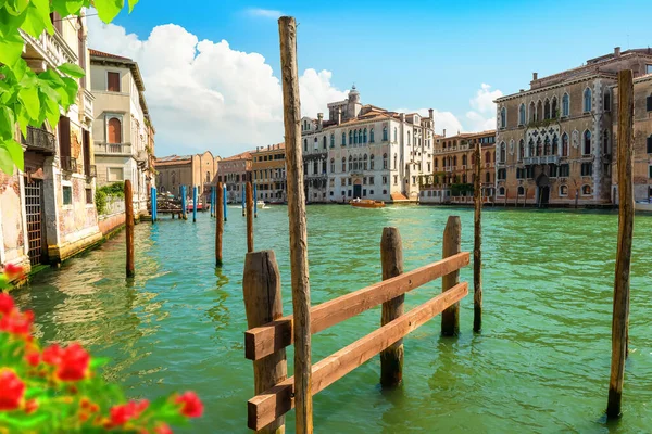 Blommor Kanal Venedig Italien — Stockfoto