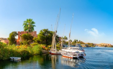 Nile coastline and boats