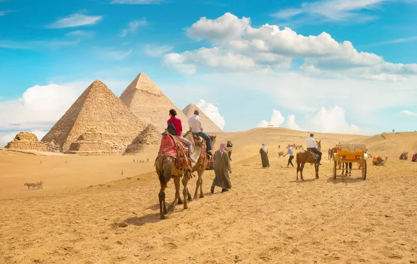 Pyramids and animals — стоковое фото