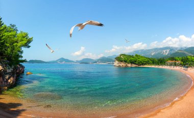 Meşhur kumsal Milocer.