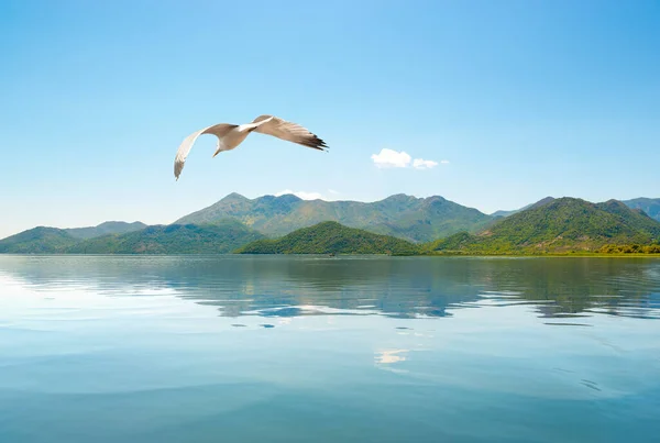 斯卡达尔湖黑山 — 图库照片