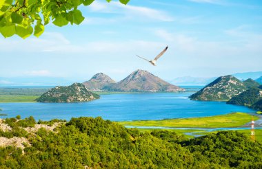 Yazın Skadar Gölü
