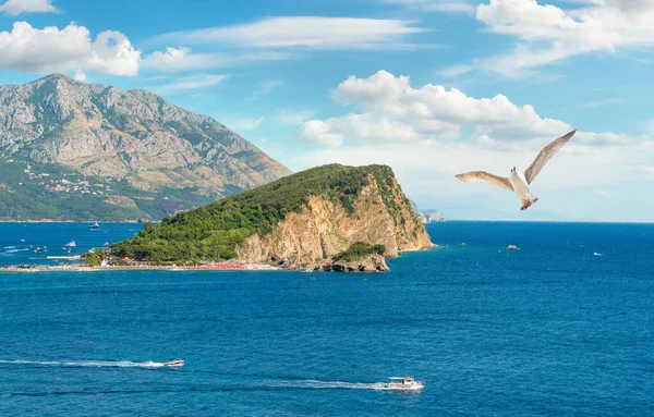 Budva on adriatic sea — Stock Photo, Image