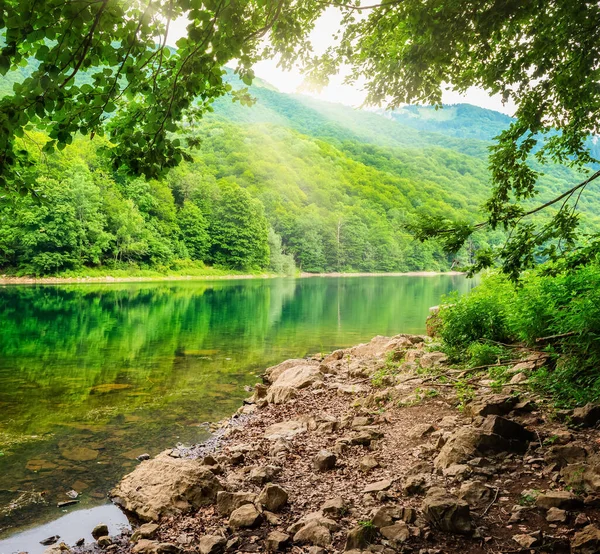 Het nationale park Montenegro — Stockfoto