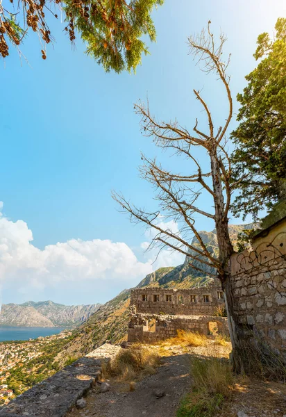 Krajobraz zatoki Kotor — Zdjęcie stockowe