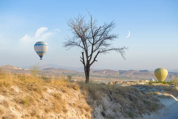 Balonów na ogrzane powietrze lądowania — Zdjęcie stockowe