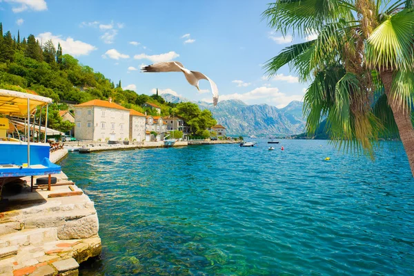 Heißer Tag in Perast — Stockfoto