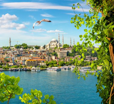 İstanbul 'da Altın Boynuz ve Süleyman Camii manzarası
