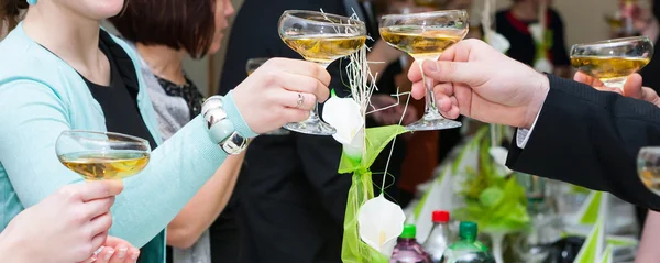 Party toast — Stock Photo, Image