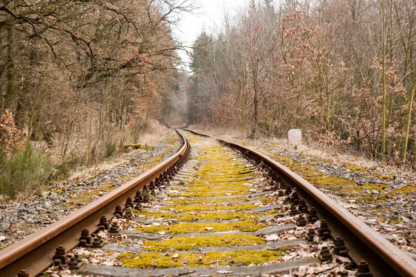 Verouderde railroad tracks — Stockfoto