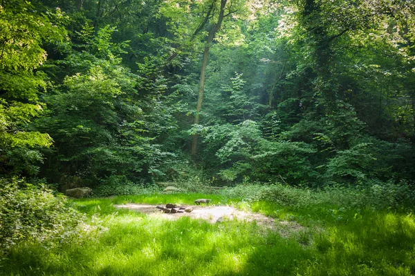 Waldcampingplatz — Stockfoto