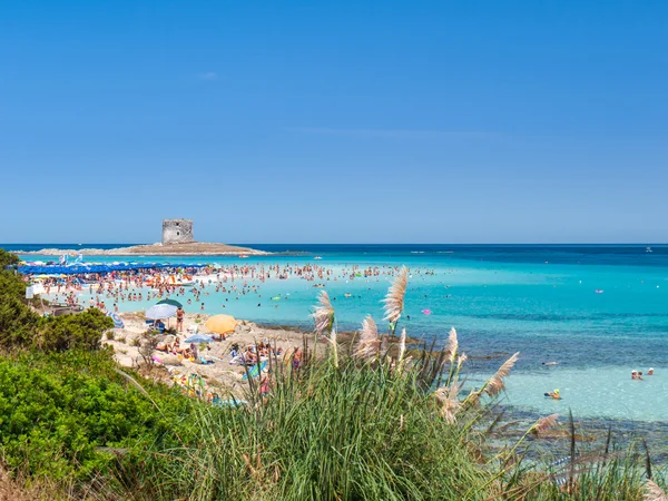 Latem plaży la pelosa na Sardynii — Zdjęcie stockowe