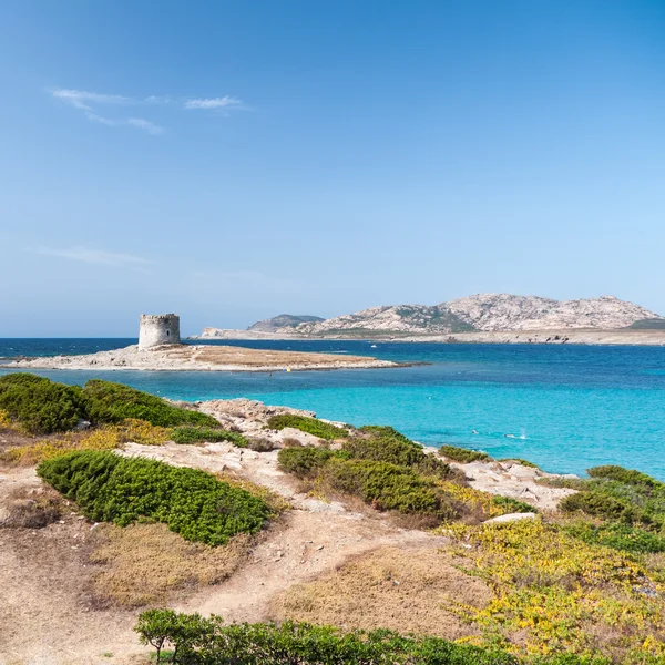 Stintino Sardinie — Stock fotografie