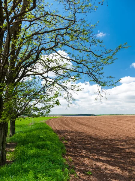 Veld grens in platteland — Stockfoto