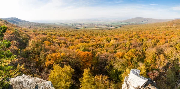 Herbstwaldtal — Stockfoto