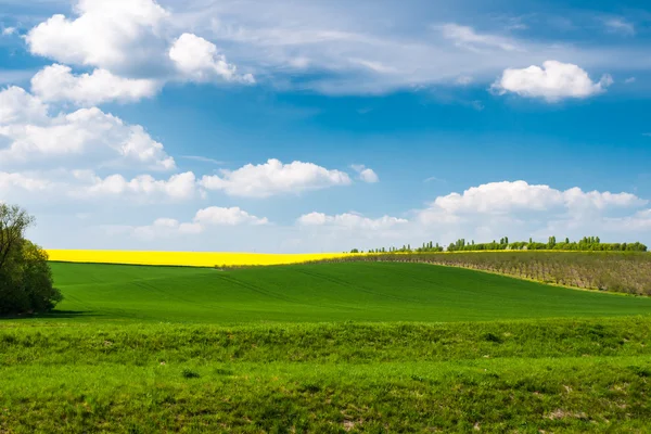 Bright sunny spring day — Stock Photo, Image