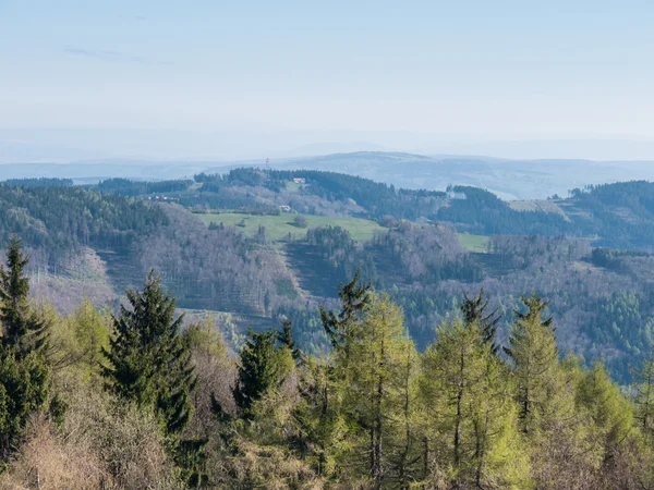 Mountain landscape in Carpathians — Stock Photo, Image