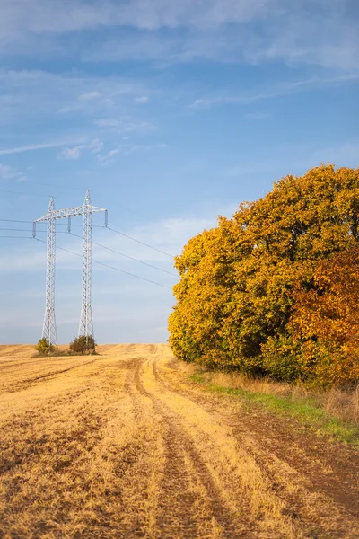 High-voltage power lines — Stock Photo, Image