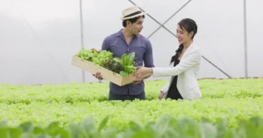 Asyalı çiftçi çift hidrofonik sebze çiftliğinde çalışıyor. Mutluluk ve neşe dolu bitki örtüsü arka planında.