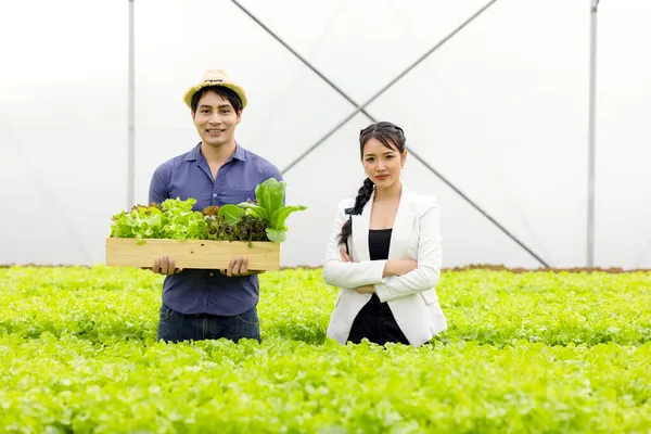 Asyalı Çiftçi Çift Hidrofonik Sebze Çiftliğinde Çalışıyor Mutluluk Neşe Dolu — Stok fotoğraf