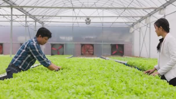Agricultor Asiático Com Venda Cliente Fazenda Estufa Vegetal Hidropônica Com — Vídeo de Stock