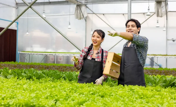 Casal Agricultor Asiático Trabalho Fazenda Estufa Vegetal Hidropônica Com Felicidade — Fotografia de Stock