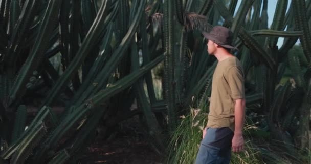 Ung Resenär Går Genom Skogen Beundrar Den Fantastiska Stora Kaktusen — Stockvideo