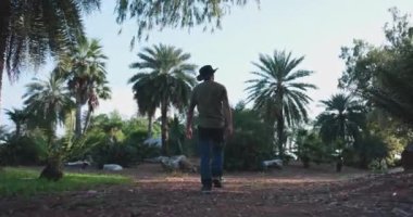 Siyah tişört giymiş genç bir Asyalı 'nın portresi sonbaharda yükselen ağaçların arasından geçiyor, ormanı keşfediyor.